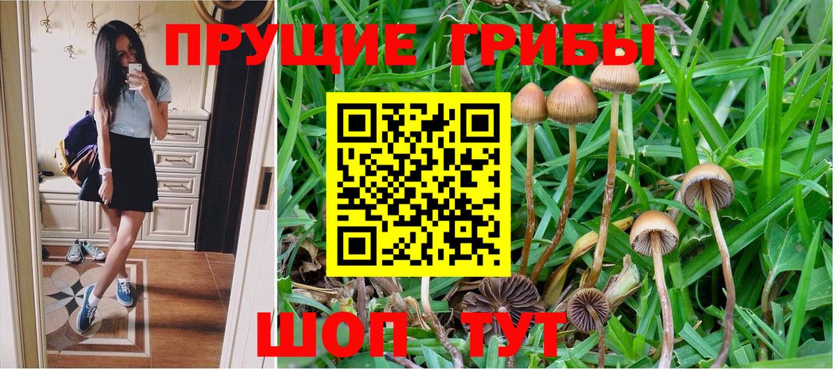 Псилоцибиновые грибы MAGIC MUSHROOMS  Галлюциногенные грибы MAGIC MUSHROOMS  Канаш  Вход с VPN 